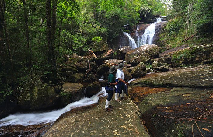 sinharaja rainforest trek